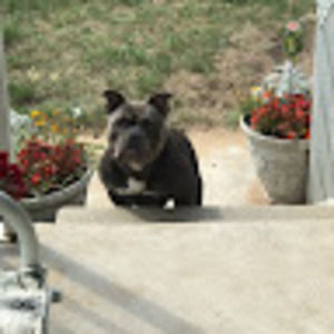 Meet your Posher, Tracy